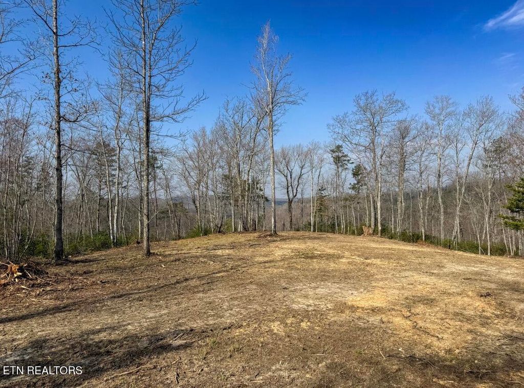 Photo of Clifty Creek Rd, Winfield, TN 37892 (MLS # 1334988)