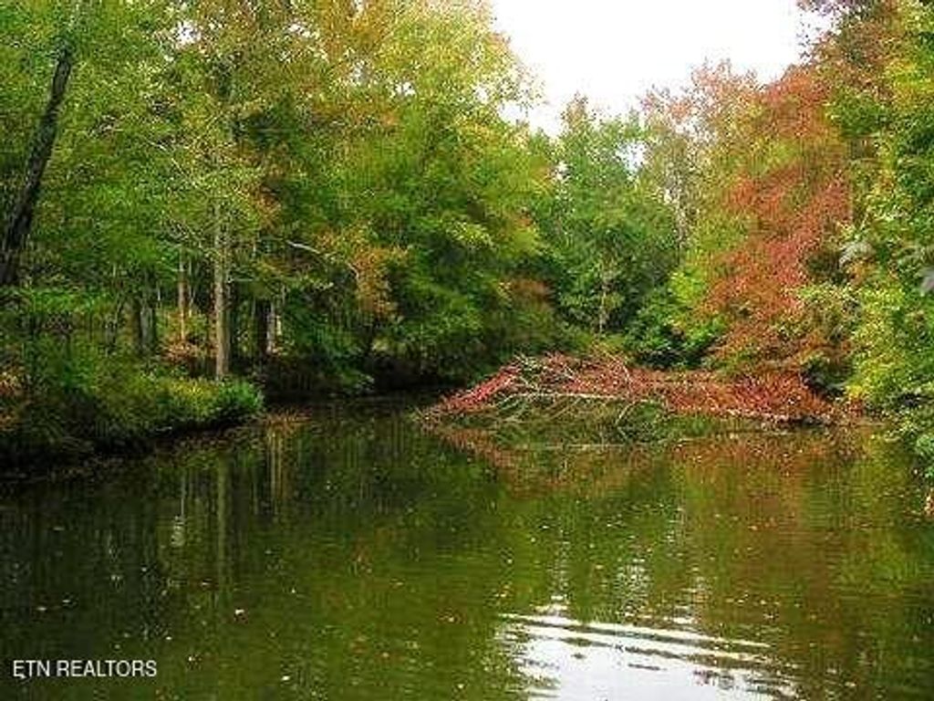 Photo of 1112 Osprey Way, Harriman, TN 37748 (MLS # 1294825)