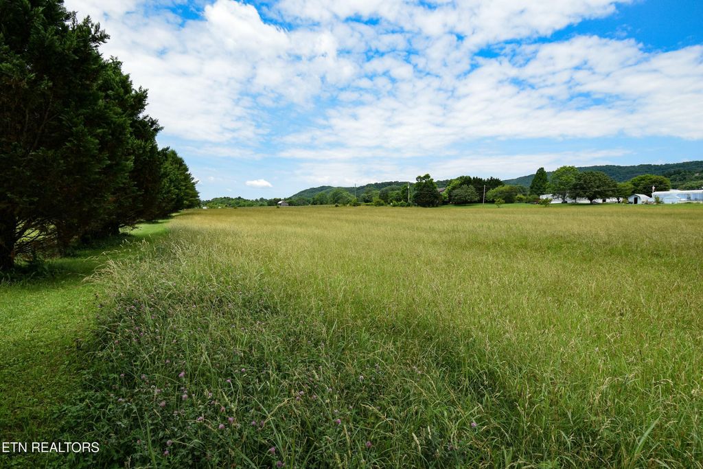 Photo of 10055 Old Rutledge Pike, Mascot, TN 37806 (MLS # 1328614)