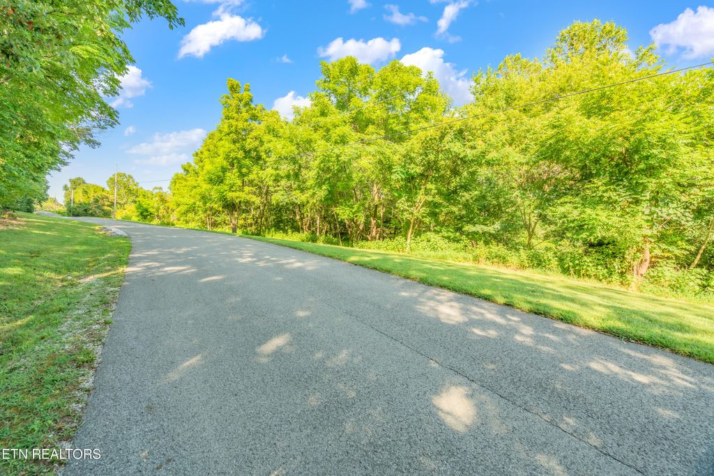 Photo of 3 Shanghai Landing Lane, LaFollette, TN 37766 (MLS # 1310625)