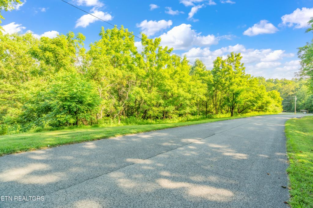 Photo of 3 Shanghai Landing Lane, LaFollette, TN 37766 (MLS # 1310625)