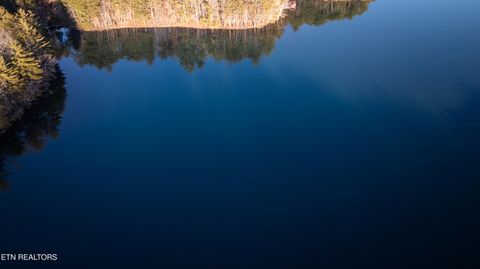 Tiny photo for 28 Hunterwood Court, Crossville, TN 38558 (MLS # 1329903)