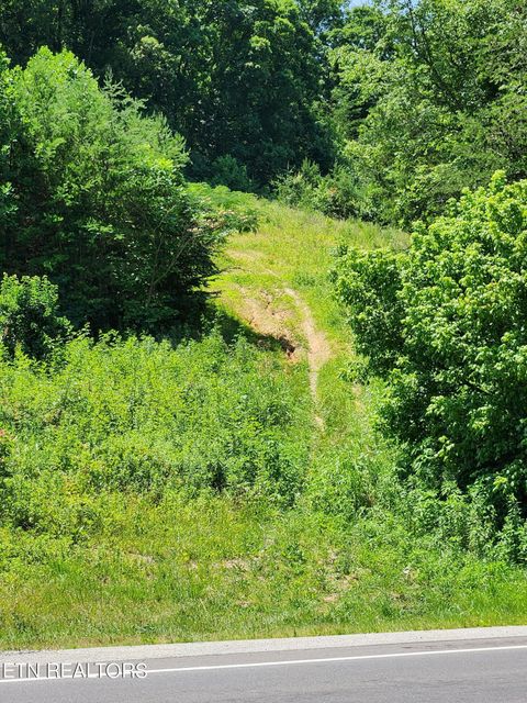 9707 Hwy 68 Tellico Plains TN 37385