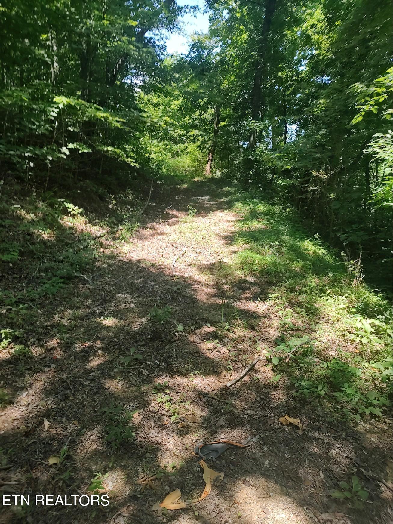 9707 Hwy 68