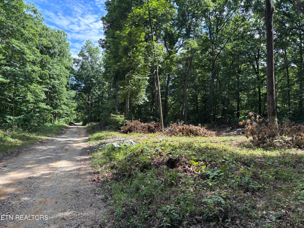 Photo of 272 Morgan Circle, Crossville, TN 38572 (MLS # 1344762)