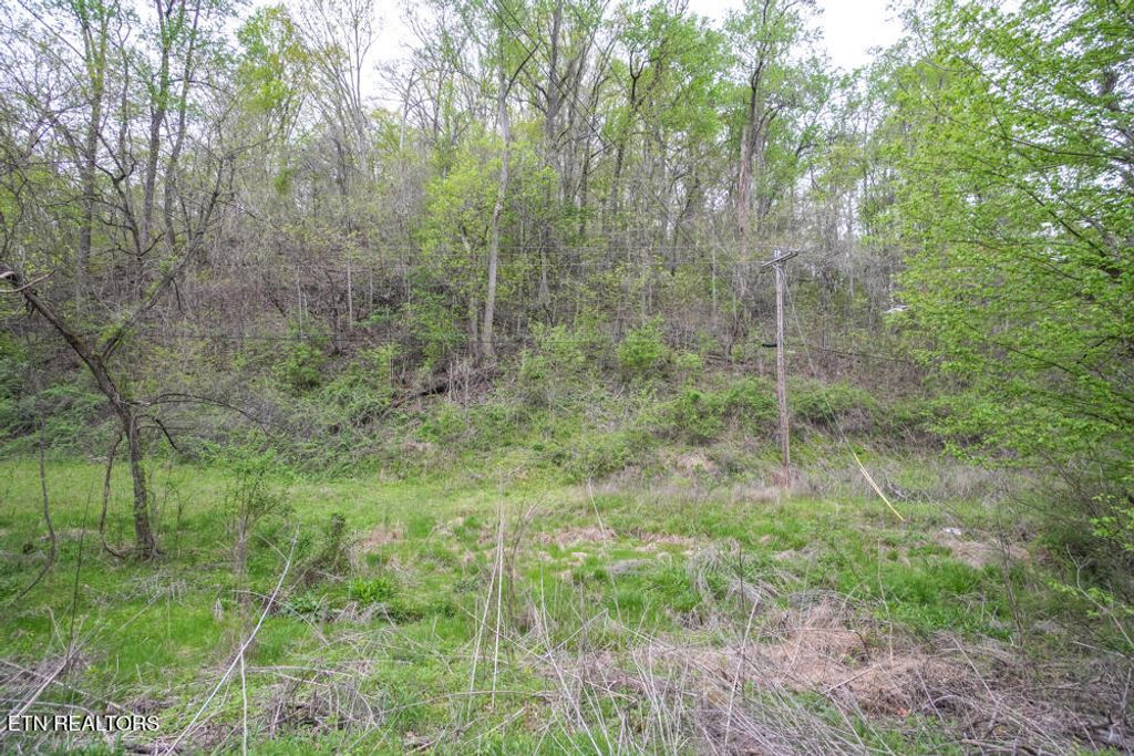 Photo of 270 Smokey Rd, Maryville, TN 37801 (MLS # 1294400)