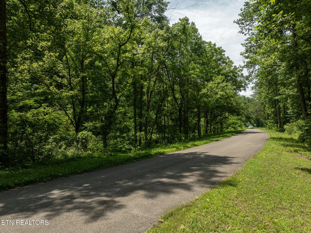 Photo of 270 Smokey Rd, Maryville, TN 37801 (MLS # 1294400)