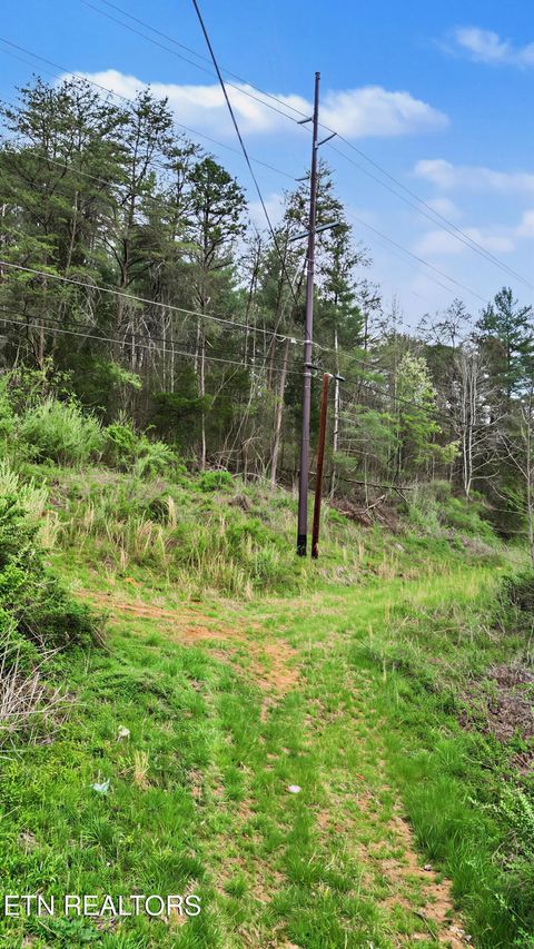 Tiny photo for Wears Valley Rd, Townsend, TN 37882 (MLS # 1334958)