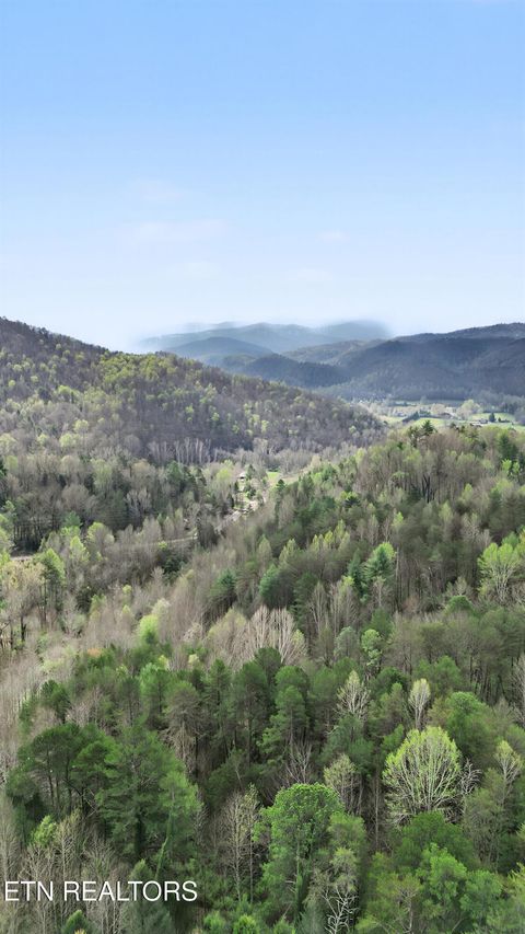Tiny photo for Wears Valley Rd, Townsend, TN 37882 (MLS # 1334958)