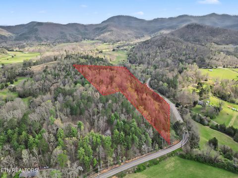 Tiny photo for Wears Valley Rd, Townsend, TN 37882 (MLS # 1334958)