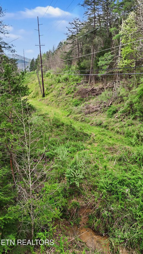 Tiny photo for Wears Valley Rd, Townsend, TN 37882 (MLS # 1334958)