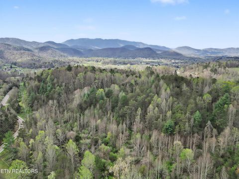 Tiny photo for Wears Valley Rd, Townsend, TN 37882 (MLS # 1334958)