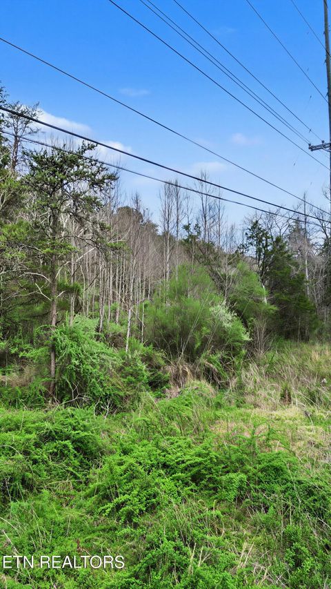 Tiny photo for Wears Valley Rd, Townsend, TN 37882 (MLS # 1334958)