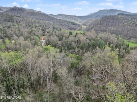 Tiny photo for Wears Valley Rd, Townsend, TN 37882 (MLS # 1334958)