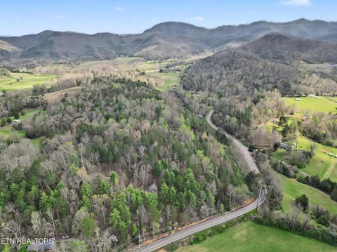 Tiny photo for Wears Valley Rd, Townsend, TN 37882 (MLS # 1334958)
