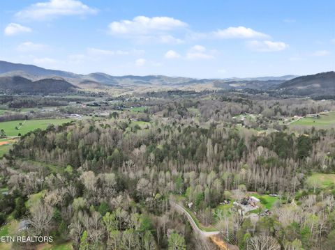 Tiny photo for Wears Valley Rd, Townsend, TN 37882 (MLS # 1334958)