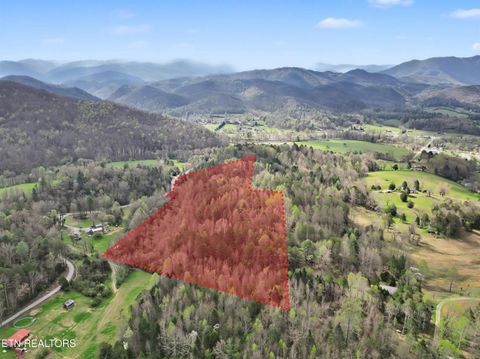 Tiny photo for Wears Valley Rd, Townsend, TN 37882 (MLS # 1334958)