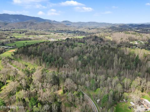 Tiny photo for Wears Valley Rd, Townsend, TN 37882 (MLS # 1334958)