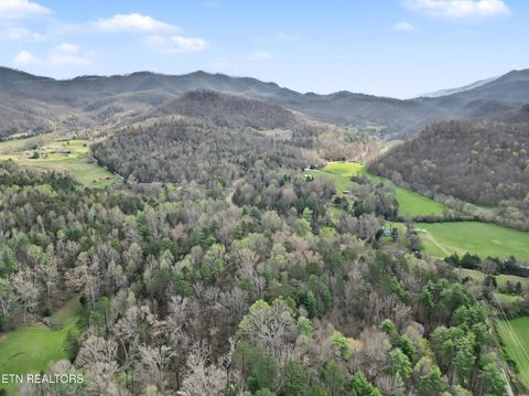 Tiny photo for Wears Valley Rd, Townsend, TN 37882 (MLS # 1334958)