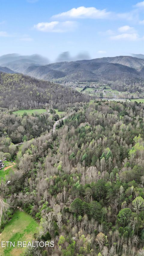 Tiny photo for Wears Valley Rd, Townsend, TN 37882 (MLS # 1334958)
