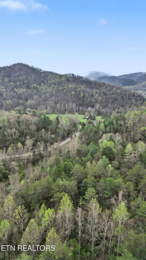 Tiny photo for Wears Valley Rd, Townsend, TN 37882 (MLS # 1334958)