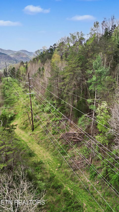 Tiny photo for Wears Valley Rd, Townsend, TN 37882 (MLS # 1334958)