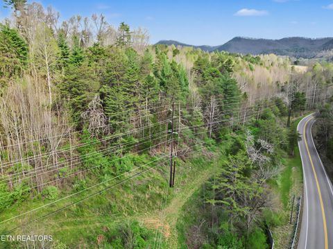 Tiny photo for Wears Valley Rd, Townsend, TN 37882 (MLS # 1334958)