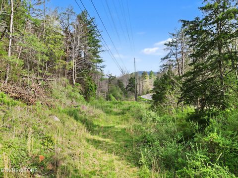 Tiny photo for Wears Valley Rd, Townsend, TN 37882 (MLS # 1334958)