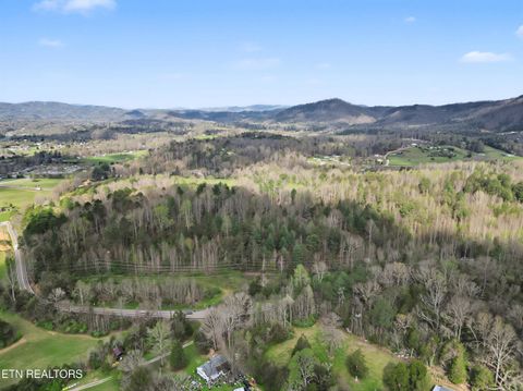 Tiny photo for Wears Valley Rd, Townsend, TN 37882 (MLS # 1334958)