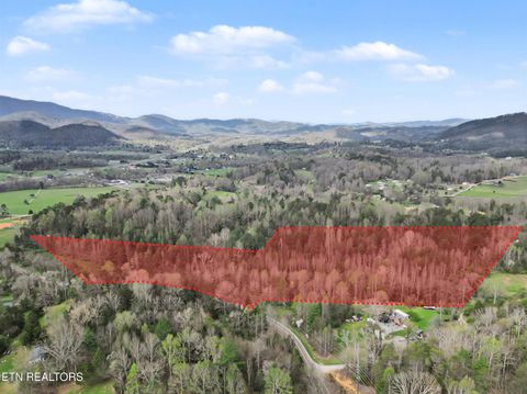 Tiny photo for Wears Valley Rd, Townsend, TN 37882 (MLS # 1334958)