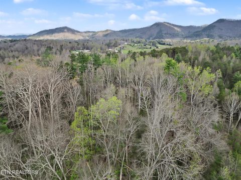 Tiny photo for Wears Valley Rd, Townsend, TN 37882 (MLS # 1334958)