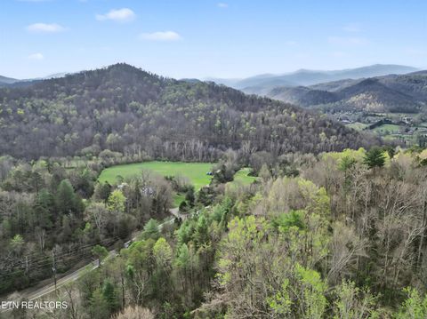 Tiny photo for Wears Valley Rd, Townsend, TN 37882 (MLS # 1334958)