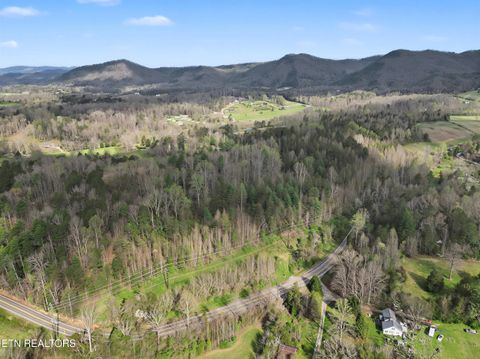 Tiny photo for Wears Valley Rd, Townsend, TN 37882 (MLS # 1334958)