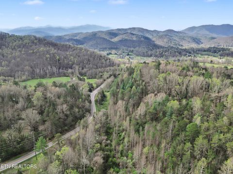 Tiny photo for Wears Valley Rd, Townsend, TN 37882 (MLS # 1334958)