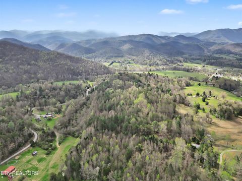 Tiny photo for Wears Valley Rd, Townsend, TN 37882 (MLS # 1334958)