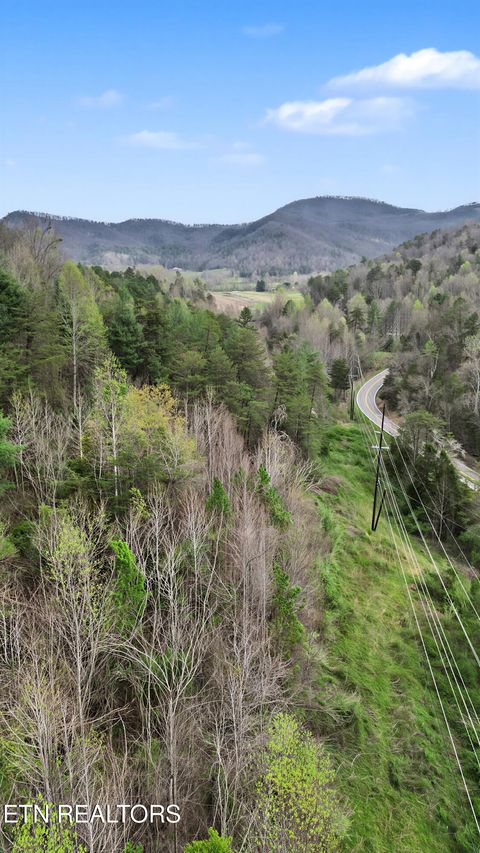 Tiny photo for Wears Valley Rd, Townsend, TN 37882 (MLS # 1334958)