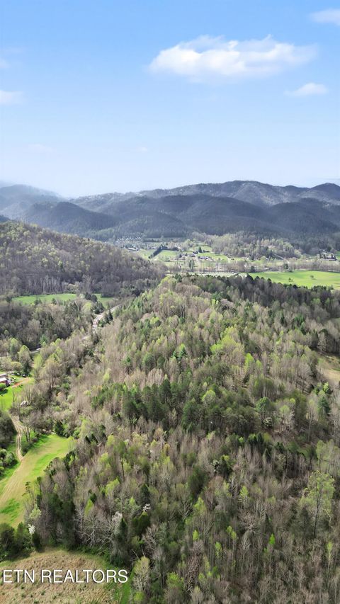 Tiny photo for Wears Valley Rd, Townsend, TN 37882 (MLS # 1334958)