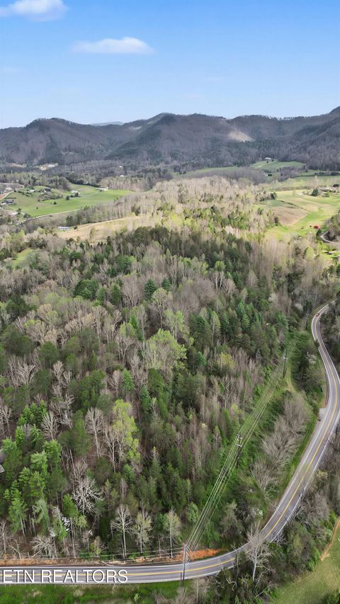 Tiny photo for Wears Valley Rd, Townsend, TN 37882 (MLS # 1334958)