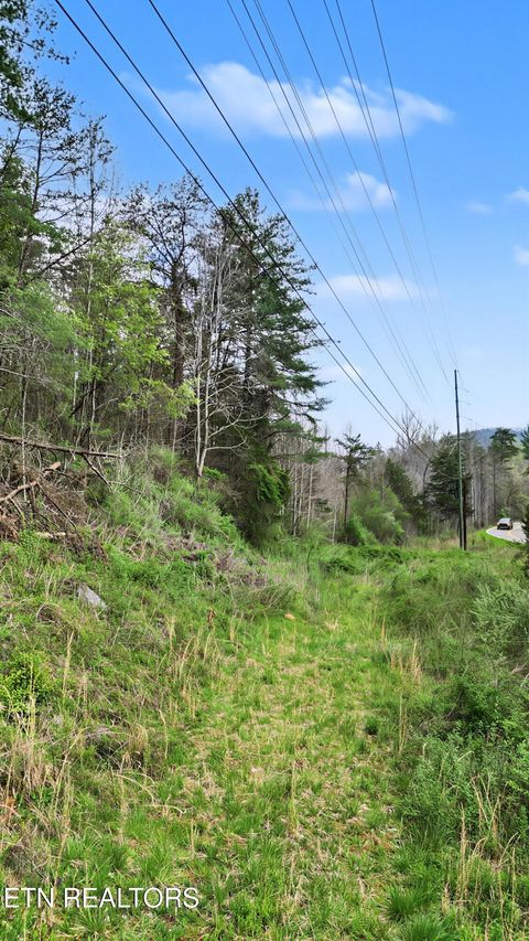 Tiny photo for Wears Valley Rd, Townsend, TN 37882 (MLS # 1334958)