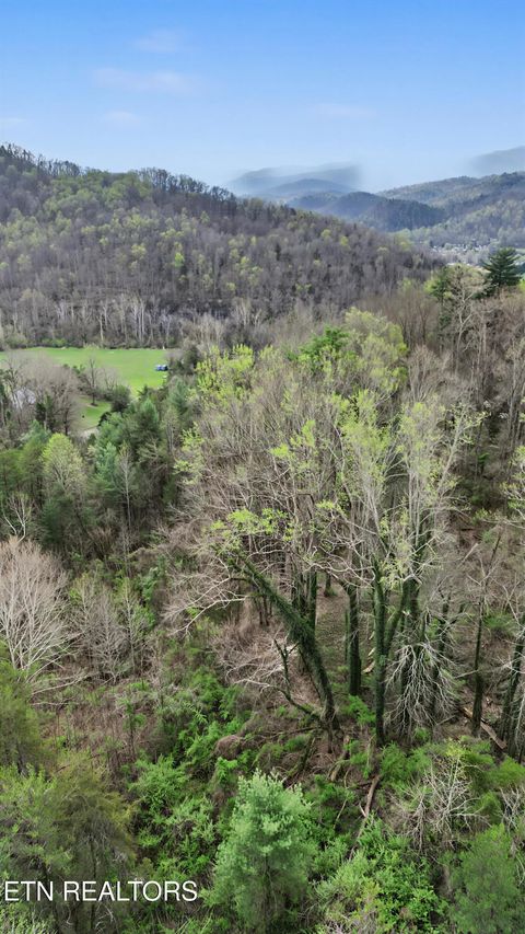 Tiny photo for Wears Valley Rd, Townsend, TN 37882 (MLS # 1334958)