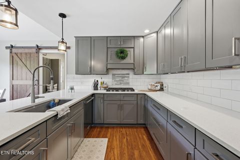 Tiny photo for 777 Upper Clear Creek Rd, Andersonville, TN 37705 (MLS # 1339719)