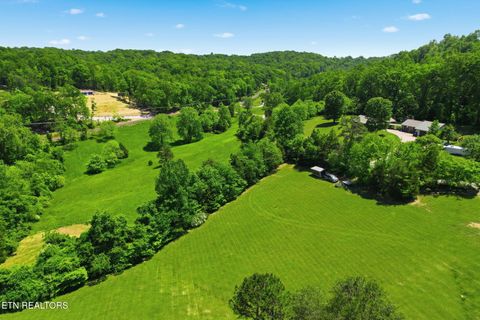 Tiny photo for 777 Upper Clear Creek Rd, Andersonville, TN 37705 (MLS # 1339719)
