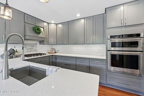 Tiny photo for 777 Upper Clear Creek Rd, Andersonville, TN 37705 (MLS # 1339719)