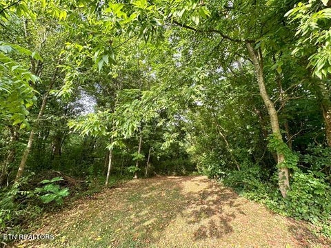 Featured picture for the property 1269856