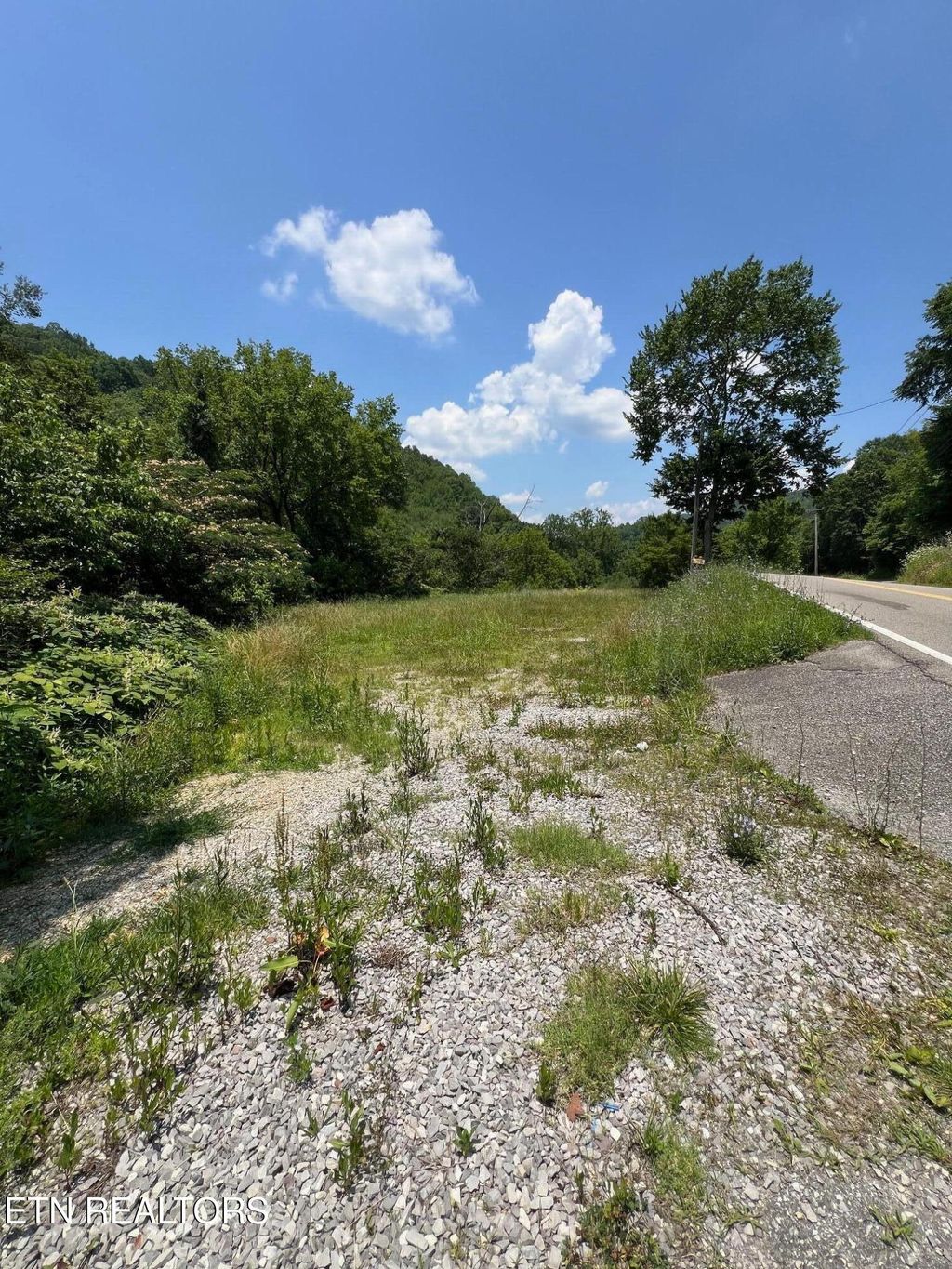 Photo of 626632 Briceville Hwy, Rocky Top, TN 37769 (MLS # 1309908)