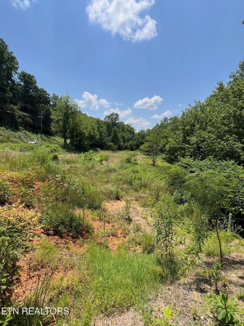 Photo of 626632 Briceville Hwy, Rocky Top, TN 37769 (MLS # 1309908)