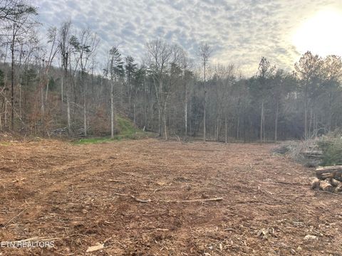 Tiny photo for 150 Robbies Lane, Decatur, TN 37322 (MLS # 1323246)