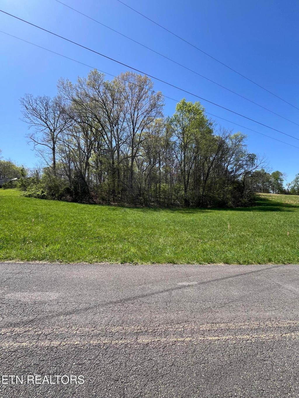 Photo of Bruner Rd, Strawberry Plains, TN 37871 (MLS # 1296840)