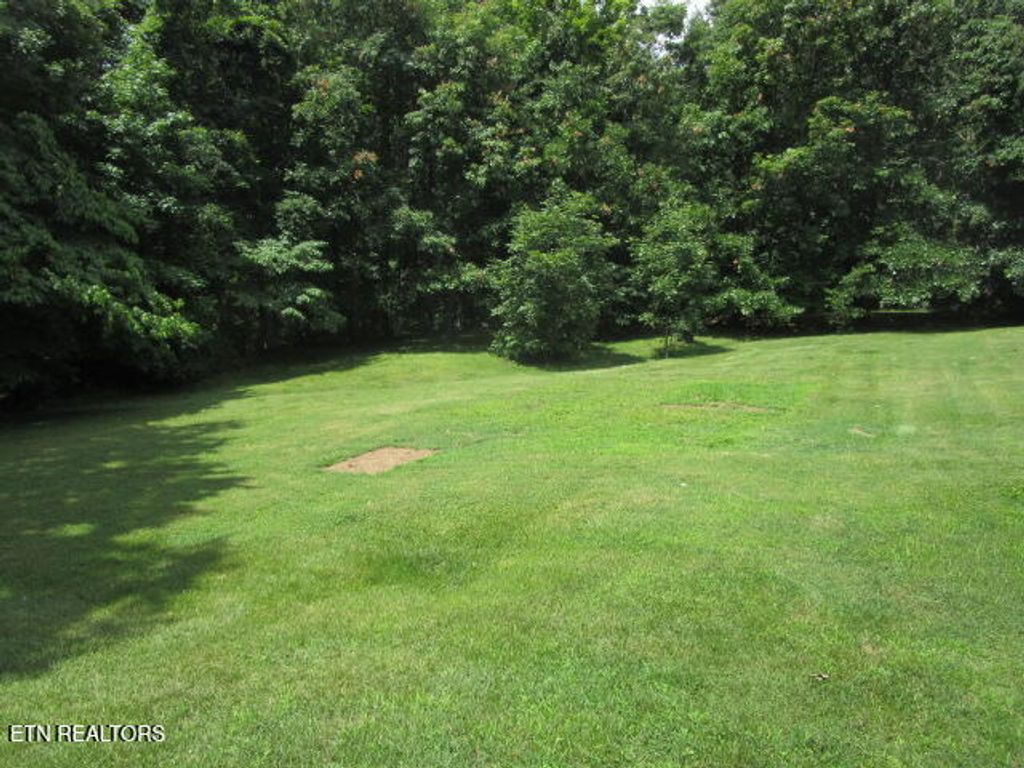 Photo of 341 McKinney Rd, Blaine, TN 37709 (MLS # 1307291)