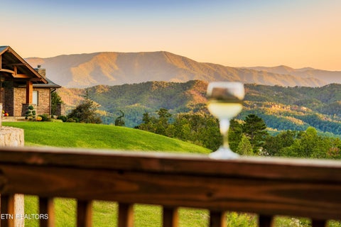 Tiny photo for 2920 Misty Bluff Tr, Sevierville, TN 37862 (MLS # 1359764)